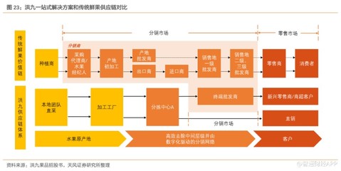 新股前瞻 | 沖擊港交所“鮮果品牌第一股”，洪九果品駛入增長快車道