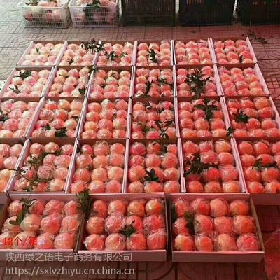 陜西臨潼石榴 紅心軟籽，新鮮直達的美味與商機